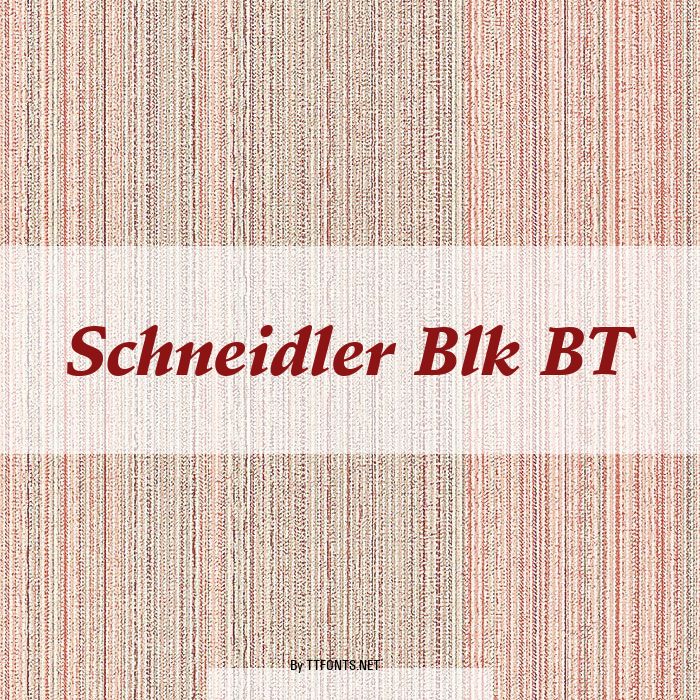 Schneidler Blk BT example